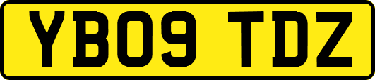 YB09TDZ