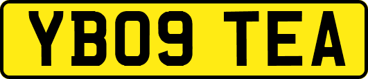 YB09TEA