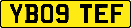 YB09TEF