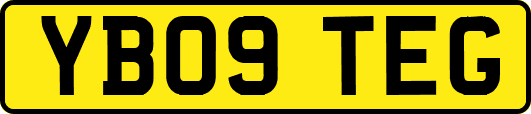 YB09TEG