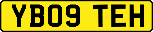 YB09TEH