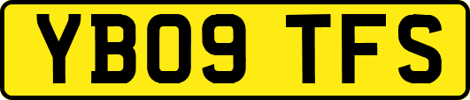 YB09TFS