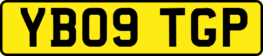 YB09TGP