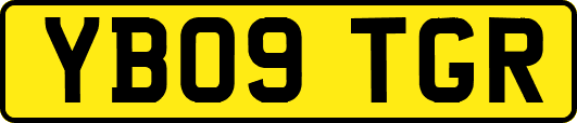 YB09TGR