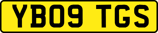 YB09TGS