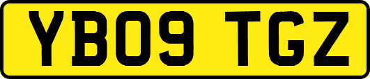 YB09TGZ