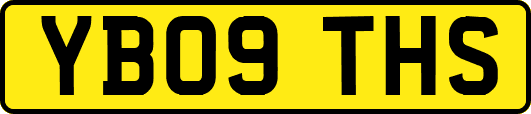 YB09THS