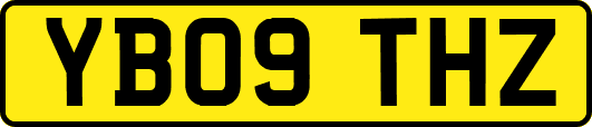 YB09THZ