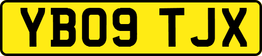 YB09TJX