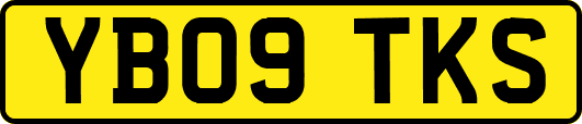 YB09TKS