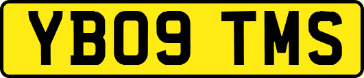 YB09TMS