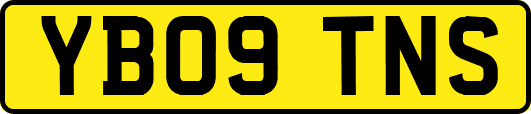 YB09TNS