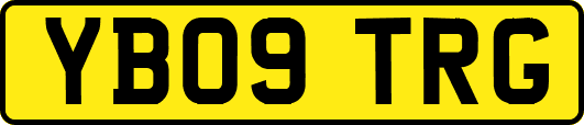 YB09TRG
