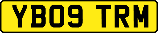 YB09TRM