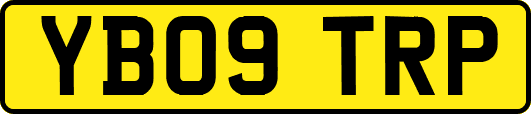 YB09TRP