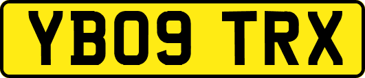 YB09TRX