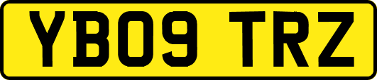 YB09TRZ