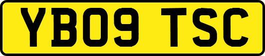 YB09TSC