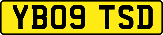 YB09TSD