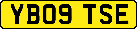 YB09TSE