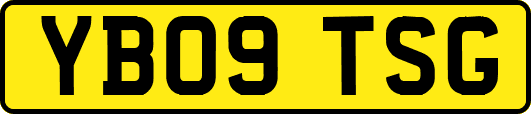 YB09TSG