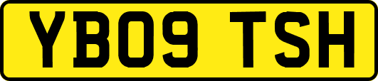 YB09TSH