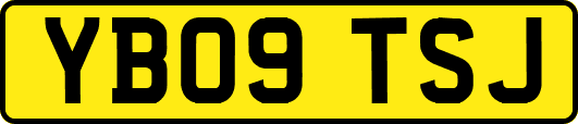 YB09TSJ