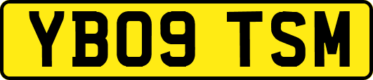 YB09TSM