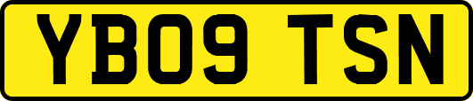 YB09TSN