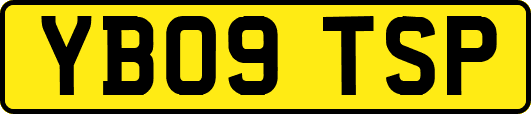 YB09TSP