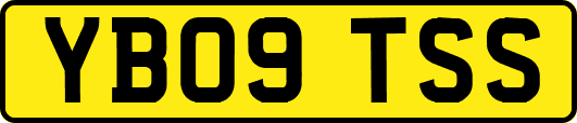 YB09TSS