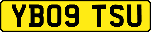 YB09TSU