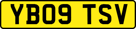 YB09TSV