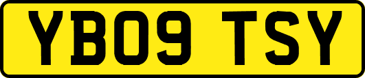 YB09TSY