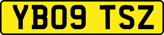 YB09TSZ