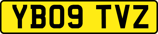 YB09TVZ