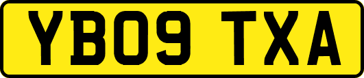 YB09TXA