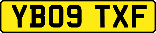 YB09TXF
