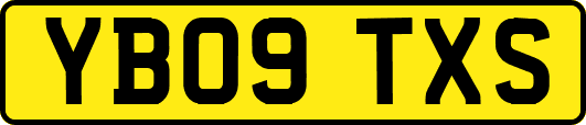 YB09TXS