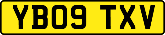 YB09TXV