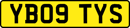 YB09TYS