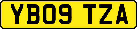YB09TZA