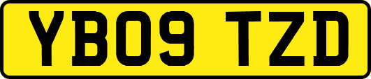 YB09TZD