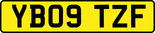 YB09TZF