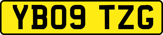 YB09TZG