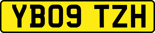 YB09TZH