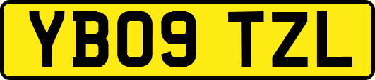 YB09TZL