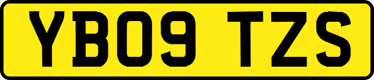YB09TZS