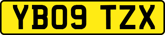 YB09TZX