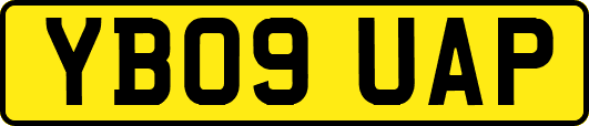 YB09UAP